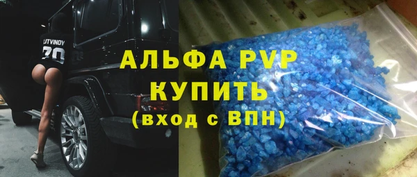 стафф Алексин